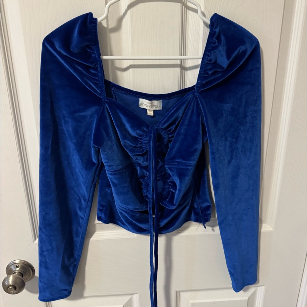 Torn by Ronny Kobo Royal Blue Velvet Blouse